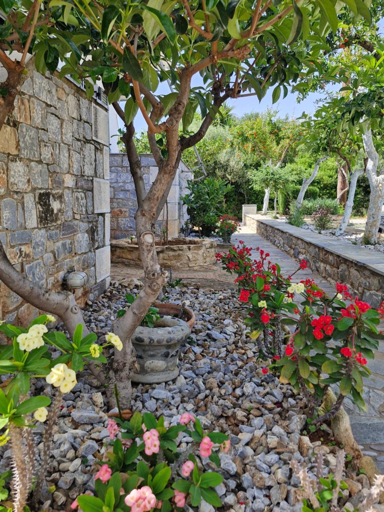 Anna Maria Studios Agios Nikolaos  Esterno foto